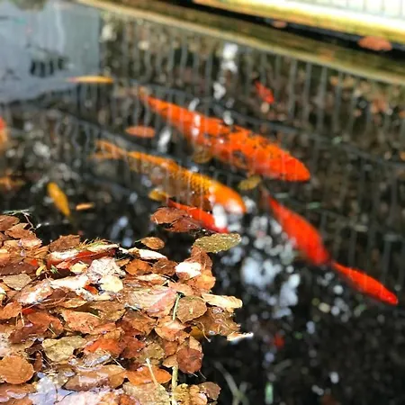 Prázdninový dům Spatzennest *