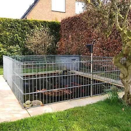 Spatzennest Schönhagen